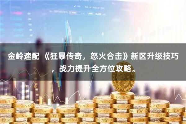 金岭速配 《狂暴传奇，怒火合击》新区升级技巧，战力提升全方位攻略。