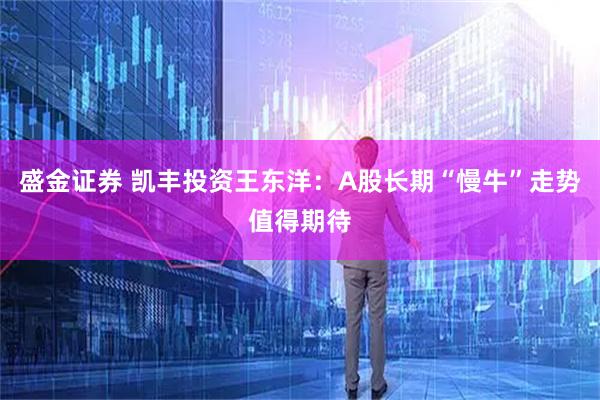 盛金证券 凯丰投资王东洋：A股长期“慢牛”走势值得期待