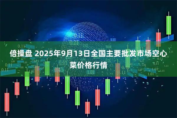 倍操盘 2025年9月13日全国主要批发市场空心菜价格行情