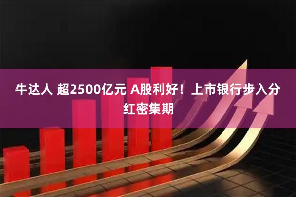 牛达人 超2500亿元 A股利好！上市银行步入分红密集期