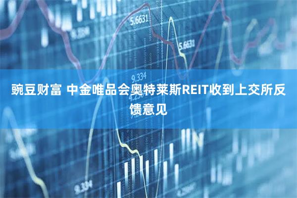 豌豆财富 中金唯品会奥特莱斯REIT收到上交所反馈意见