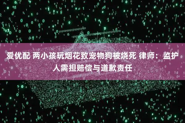 爱优配 两小孩玩烟花致宠物狗被烧死 律师：监护人需担赔偿与道歉责任