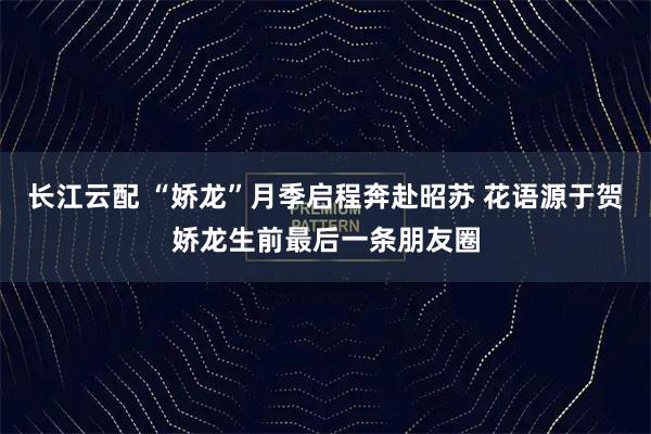 长江云配 “娇龙”月季启程奔赴昭苏 花语源于贺娇龙生前最后一条朋友圈