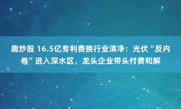 趣炒股 16.5亿专利费换行业清净：光伏“反内卷”进入深水区，龙头企业带头付费和解